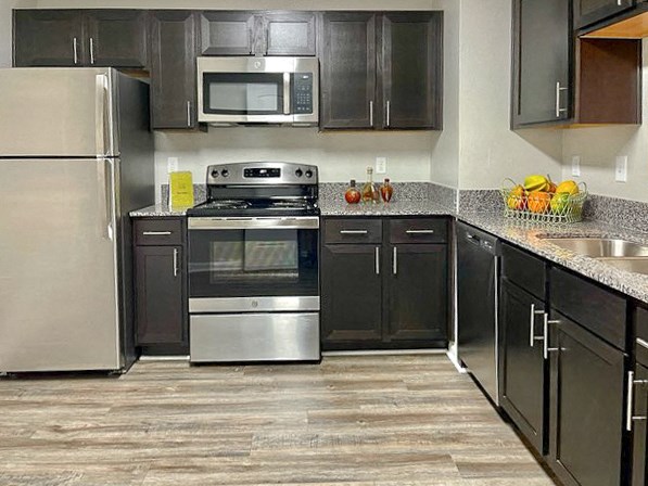 Newly Renovated Apartment (Select Units)
